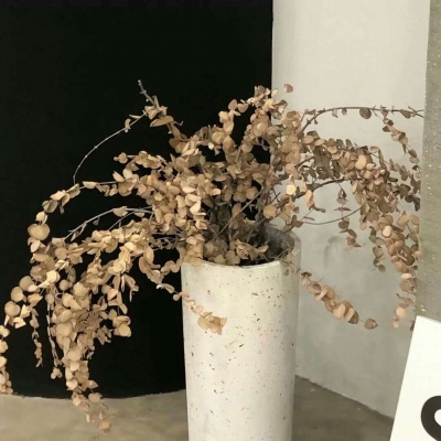 Furry数位板绘画教程兽圈社群